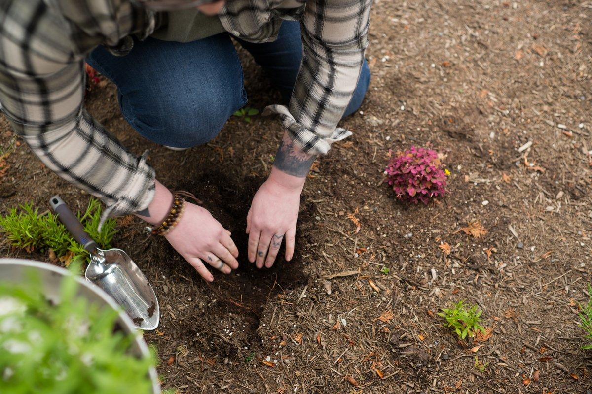 A kneeling agender person digs in gardening soil with a Trowel